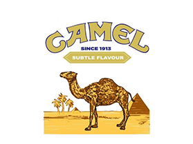 camel